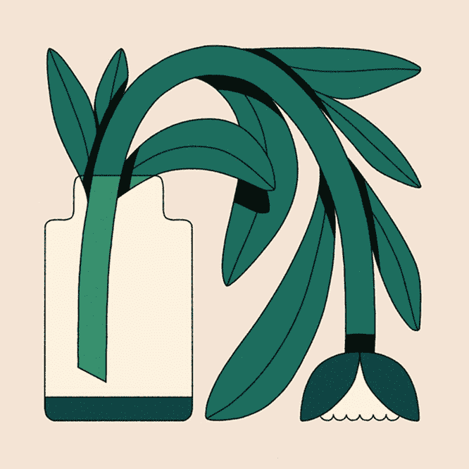 plant